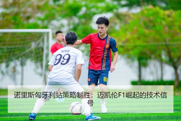 nuo-li-si-xiong-ya-li-zhan-ce-lve-zhi-sheng-mai-kai-lun-jue-qi-de-ji-shu-xin-hao-3-331.jpg