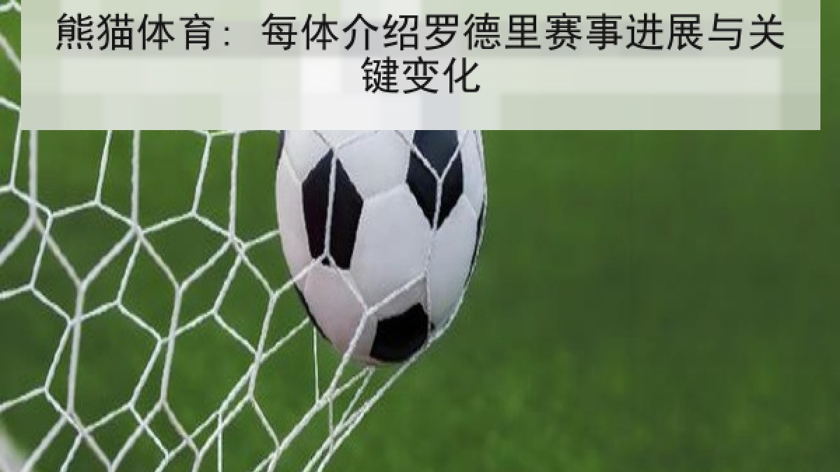 熊猫体育: 每体介绍罗德里赛事进展与关键变化
