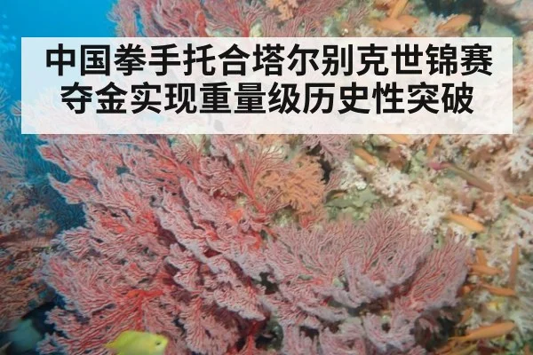 中国拳手托合塔尔别克世锦赛夺金实现重量级历史性突破